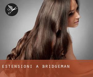 Estensioni a Bridgeman