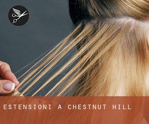 Estensioni a Chestnut Hill