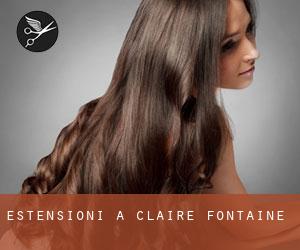 Estensioni a Claire-Fontaine