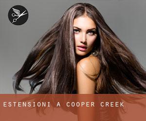 Estensioni a Cooper Creek