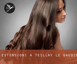 Estensioni a Teillay-le-Gaudin