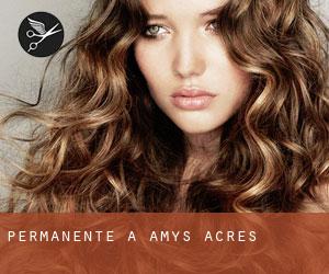 Permanente a Amys Acres