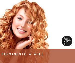 Permanente a Aull