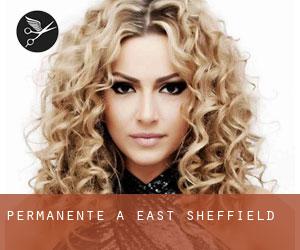 Permanente a East Sheffield