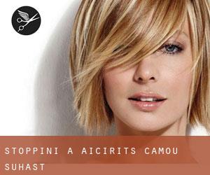 Stoppini a Aïcirits-Camou-Suhast