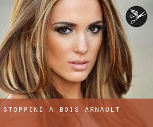 Stoppini a Bois-Arnault