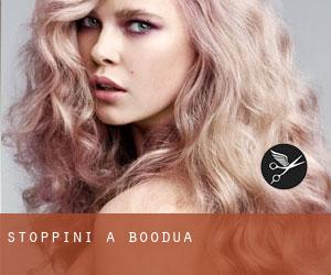 Stoppini a Boodua