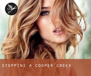 Stoppini a Cooper Creek