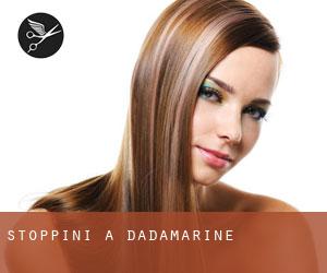 Stoppini a Dadamarine