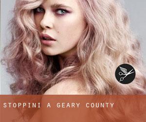 Stoppini a Geary County