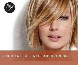 Stoppini a Lake Koshkonong