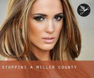 Stoppini a Miller County