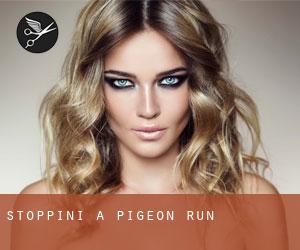 Stoppini a Pigeon Run