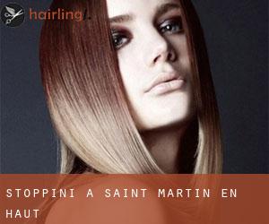 Stoppini a Saint-Martin-en-Haut