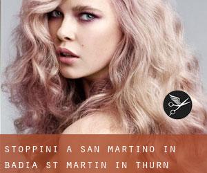 Stoppini a San Martino in Badia - St. Martin in Thurn