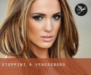 Stoppini a Venersborg