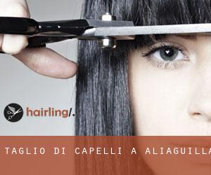 Taglio di capelli a Aliaguilla