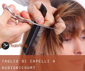 Taglio di capelli a Audignicourt