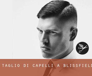 Taglio di capelli a Blissfield