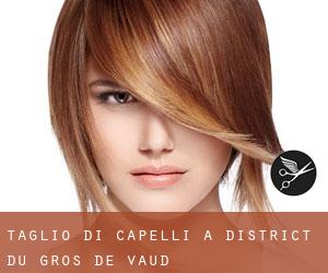 Taglio di capelli a District du Gros-de-Vaud