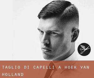 Taglio di capelli a Hoek van Holland