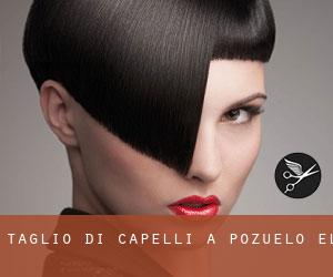 Taglio di capelli a Pozuelo (El)