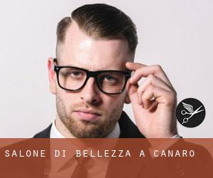 Salone di bellezza a Canaro