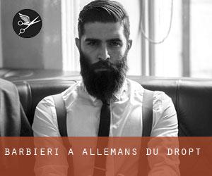 Barbieri a Allemans-du-Dropt