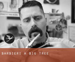 Barbieri a Big Tree