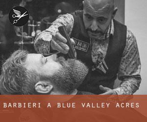 Barbieri a Blue Valley Acres