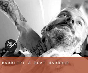 Barbieri a Boat Harbour