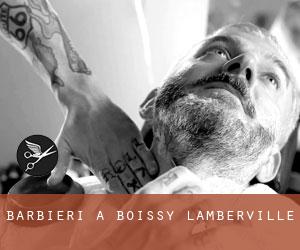 Barbieri a Boissy-Lamberville