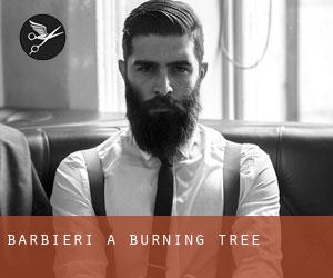 Barbieri a Burning Tree