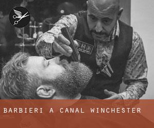 Barbieri a Canal Winchester