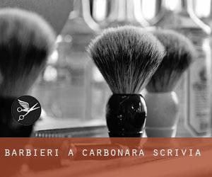Barbieri a Carbonara Scrivia