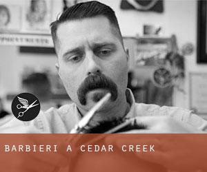 Barbieri a Cedar Creek