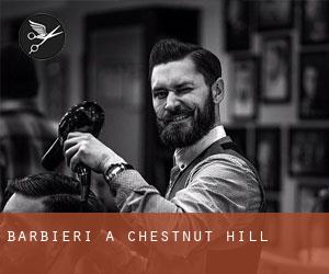 Barbieri a Chestnut Hill