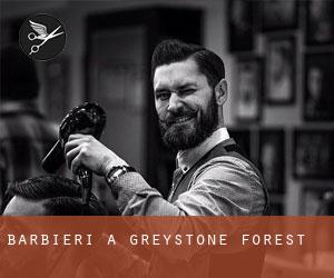 Barbieri a Greystone Forest