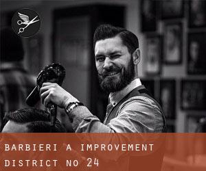 Barbieri a Improvement District No. 24