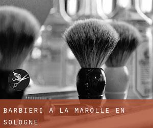 Barbieri a La Marolle-en-Sologne