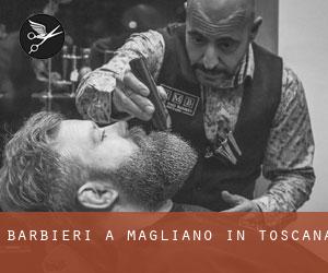 Barbieri a Magliano in Toscana