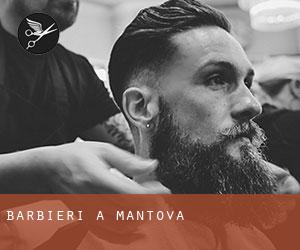 Barbieri a Mantova