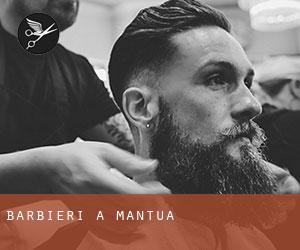 Barbieri a Mantua