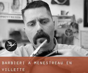 Barbieri a Ménestreau-en-Villette