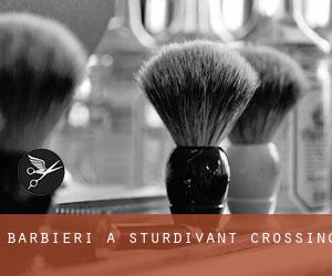 Barbieri a Sturdivant Crossing