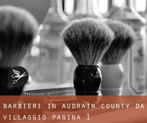 Barbieri in Audrain County da villaggio - pagina 1