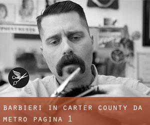 Barbieri in Carter County da metro - pagina 1