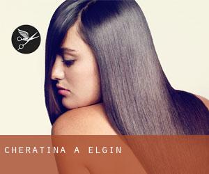 Cheratina a Elgin