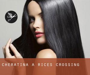 Cheratina a Rices Crossing