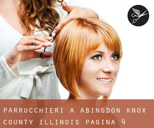 parrucchieri a Abingdon (Knox County, Illinois) - pagina 4